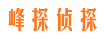 颍泉市调查公司